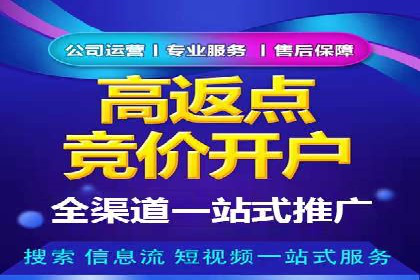 竞价代运营的案例研究：如何精准投放广告并获得回报